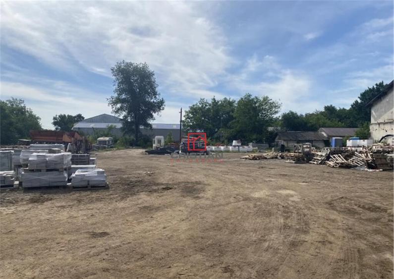 Teren Alexandria - Centura, TELEORMAN - 8