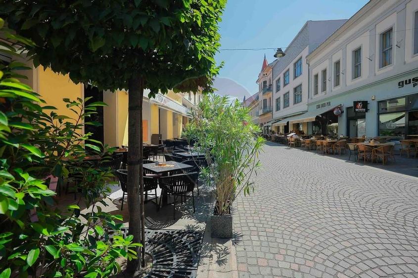 De vanzare -- Spatiu comercial parter 409 mp, Vasile Alecsandri - 33