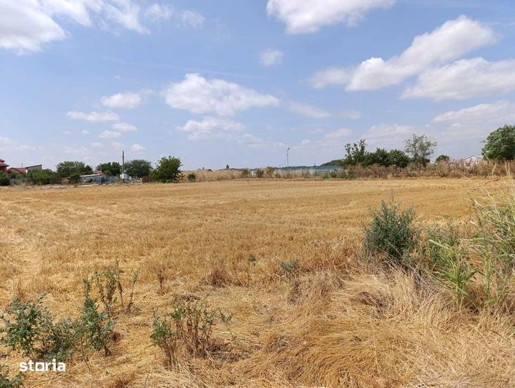 Vand Teren Intravilan 1040mp in Bragadiru - 6