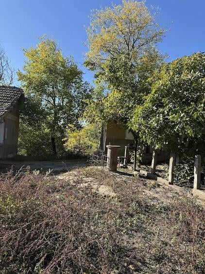 Vanzare teren casa Giurgita Dolj - 2