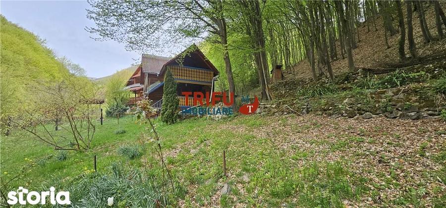 Casa de vacan?a la padure | Teren 891 mp | Valea Ighielului - 16