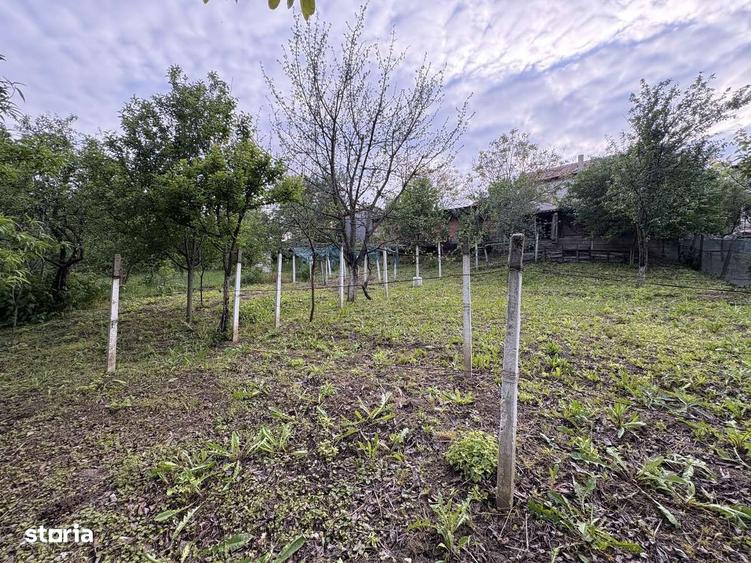 Casa de vanzare Arneag 5 camere zona verde cu acces la rau din gradina - 8