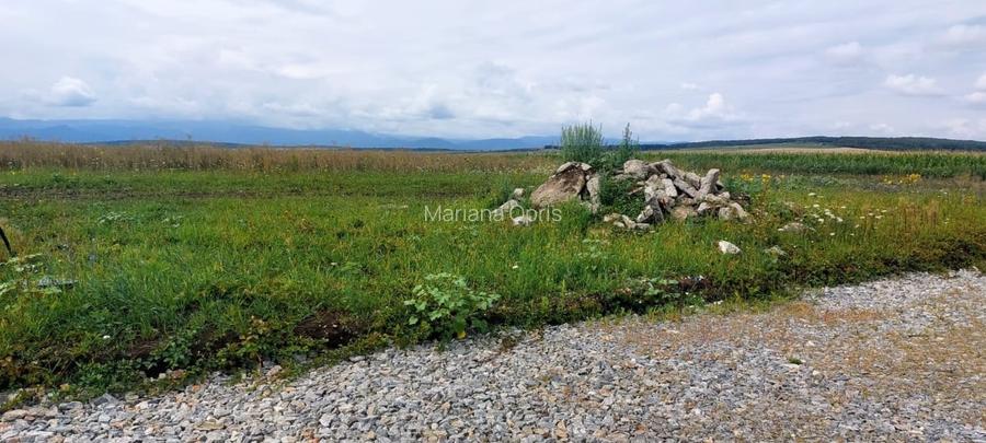 Teren Intravilan 500mp,spre vanzare in Sura Mica