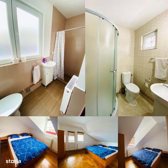 Casa de vacanta cu 5 camere si iesire la rau in Raul Sadului - 4