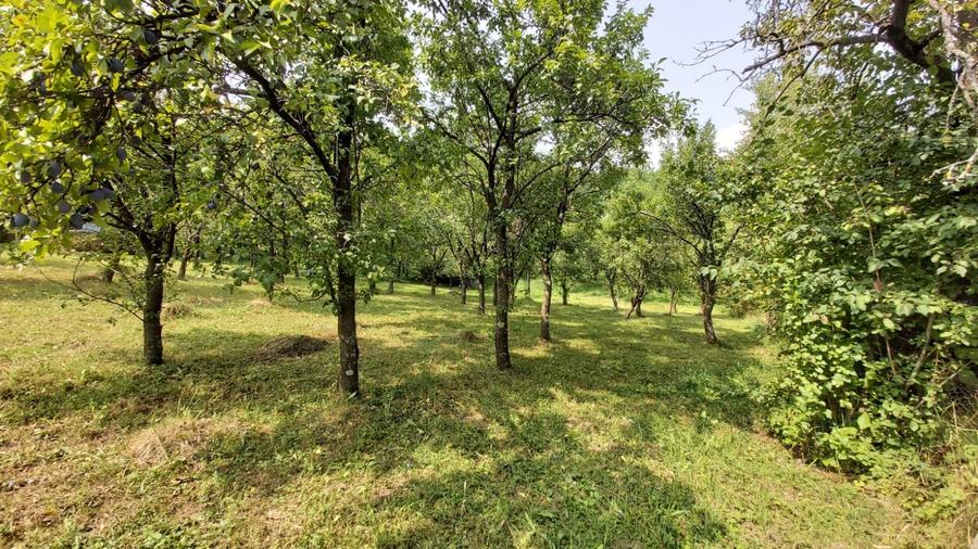 Oportunitate vanzare 6000 mp teren drept,superb toate utilitatile Breaza Prahova - 7