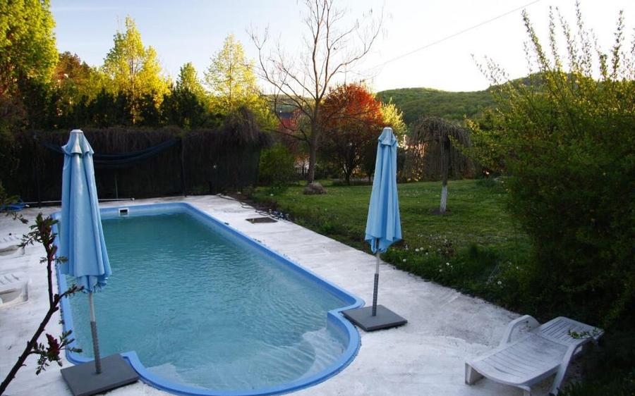 Casa individuala de lux cu piscina si teren de 4.400mp in zona VIVO - 8