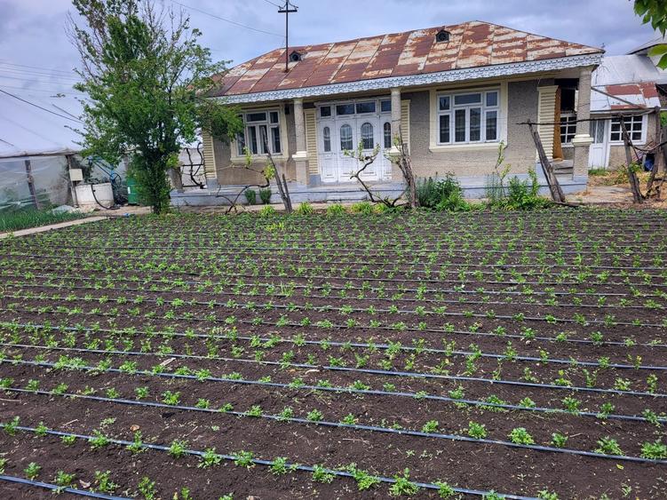 Casa cu teren de vanzare Matca - 1