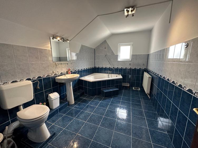 Casă de închiriat în Manastur - 19