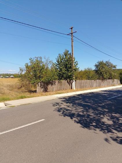 Teren de vanzare ,la doar 21 km de Ramnicu Valcea - 6