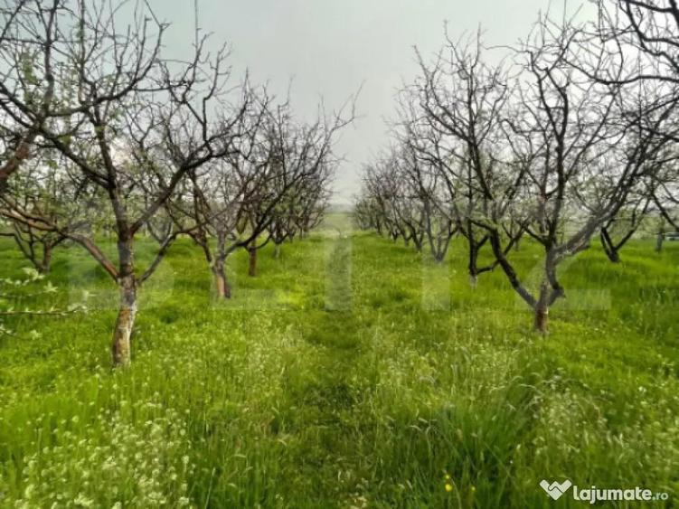 Teren intravilan 4447 mp, Pielesti. 28 ml deschidere - 4