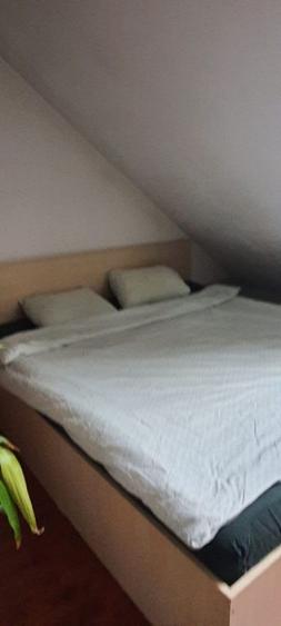 Duplex 2 camere zona Faget-luminos - 14