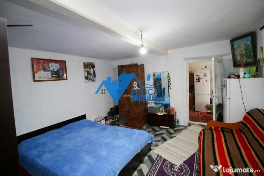 Casa cu teren in Salcioara (Jurilovca) - 2600mp - 14