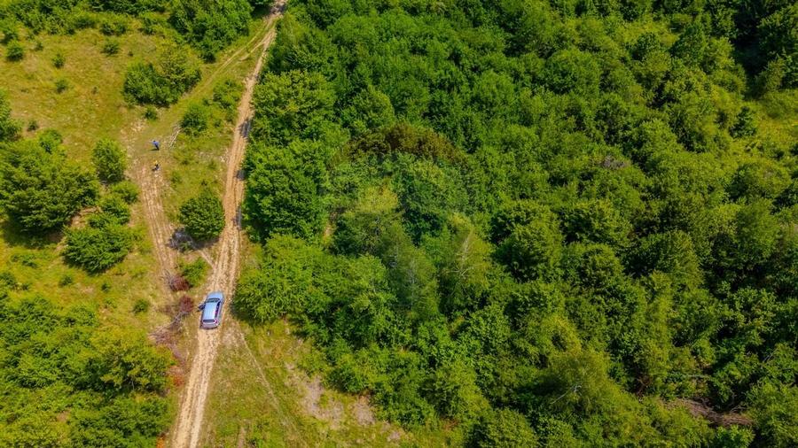 COMISION 0% Teren Grid/Inima Naturii/ Oportunitate de investitie - 4