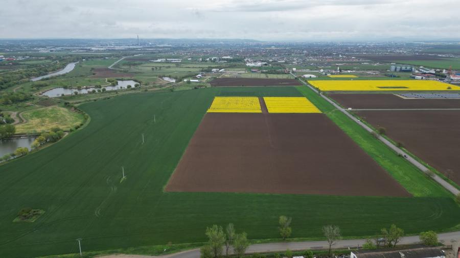 Teren extravilan - 4