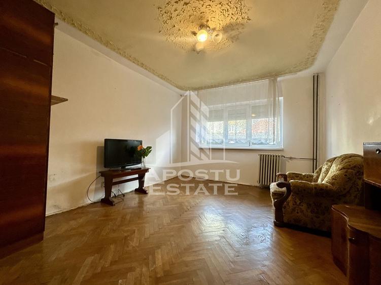 Apartament cu o camera de vanzare, parter inalt, zona Dambovita - 2