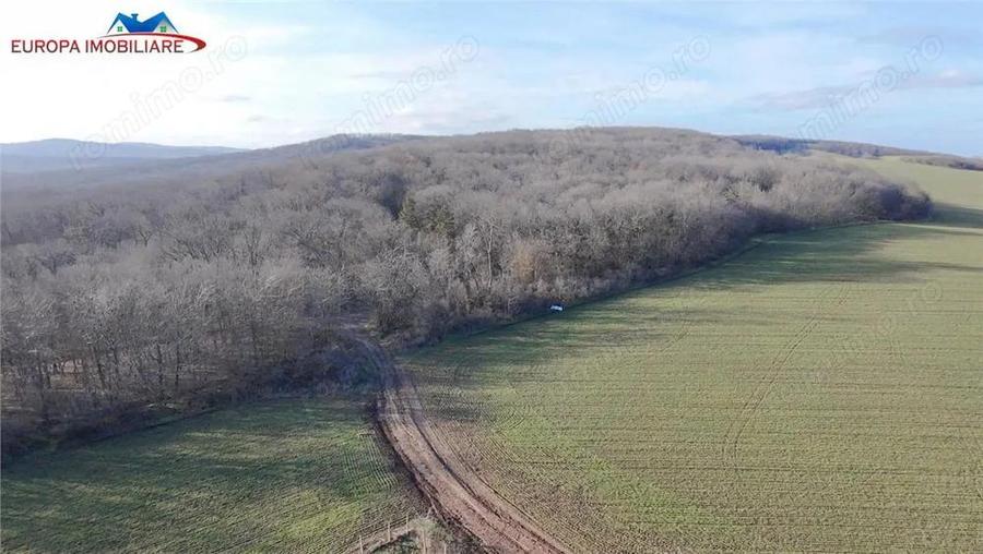 Teren intravilan de vanzare in localitatea Telita-jud.Tulcea - 1