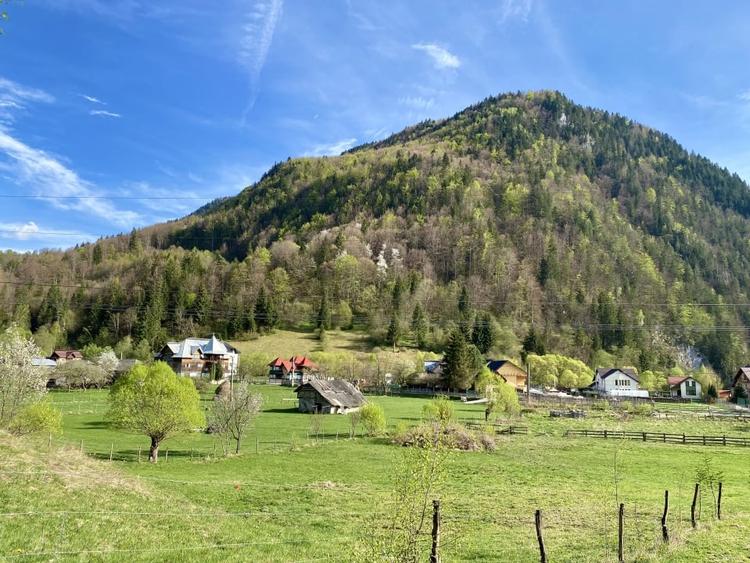 Teren panoramic insorit, utilitati, panta mica si padure, turism sau vacanta - 13