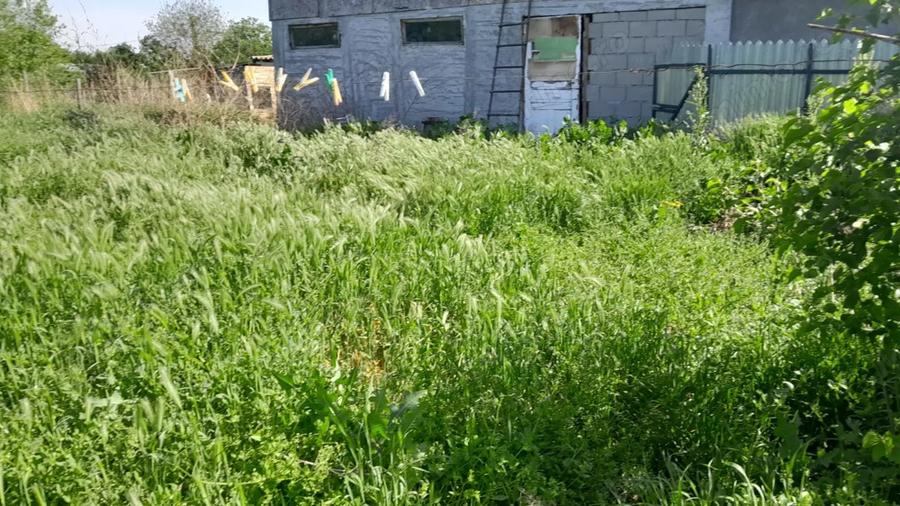 Casa de vanzare la ?ara - 6