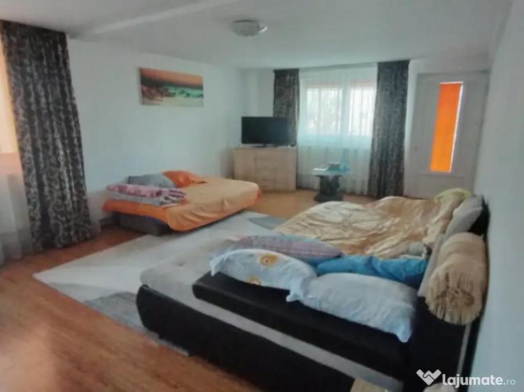 Casa P+1+M, 185 mp, teren 590 mp, Leamna de jos - 4