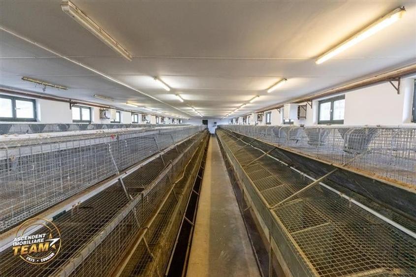 FILM! Ferma de iepuri,Malnas,Covasna: domeniu:comercial/industrial,asset UE - 16