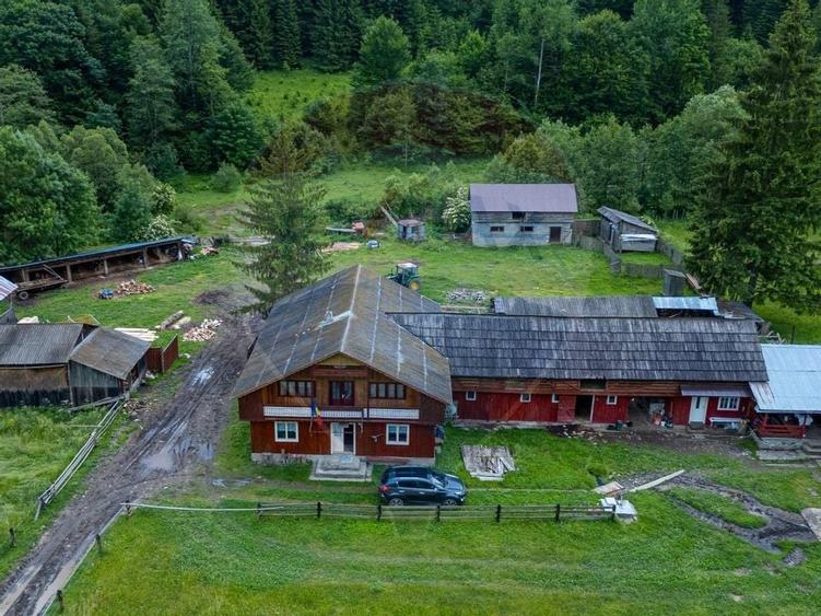 Ferma de vanzare, teren 21436 mp intravilan, Cosnea, Agas - 2