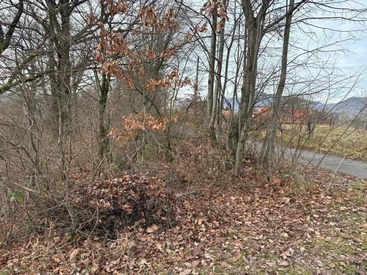 Teren Sisesti la soseaua principala ,langa pensiunea Madlene ,1 ha - 3