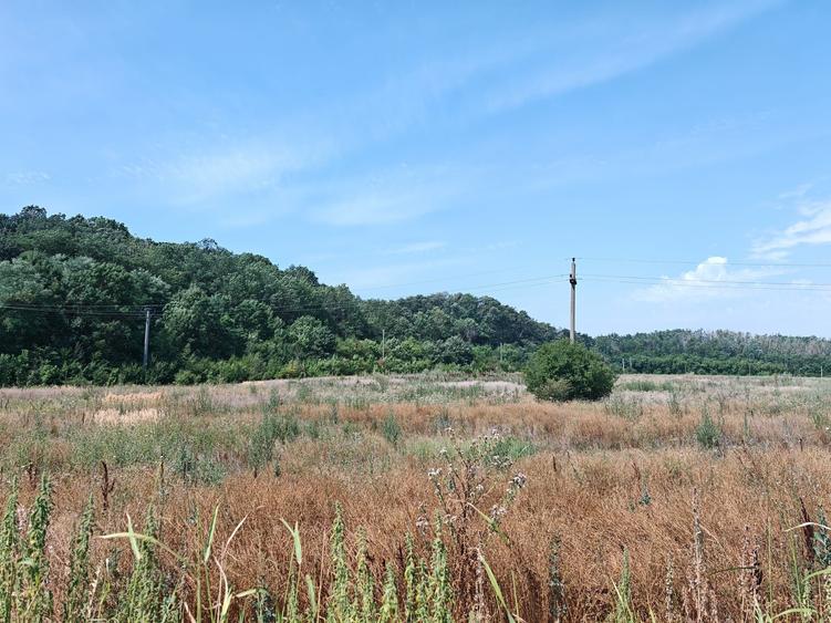 Teren Corbeanca – Balotești, 35.000 mp, lângă pădure și nodul rutier A0. - 3