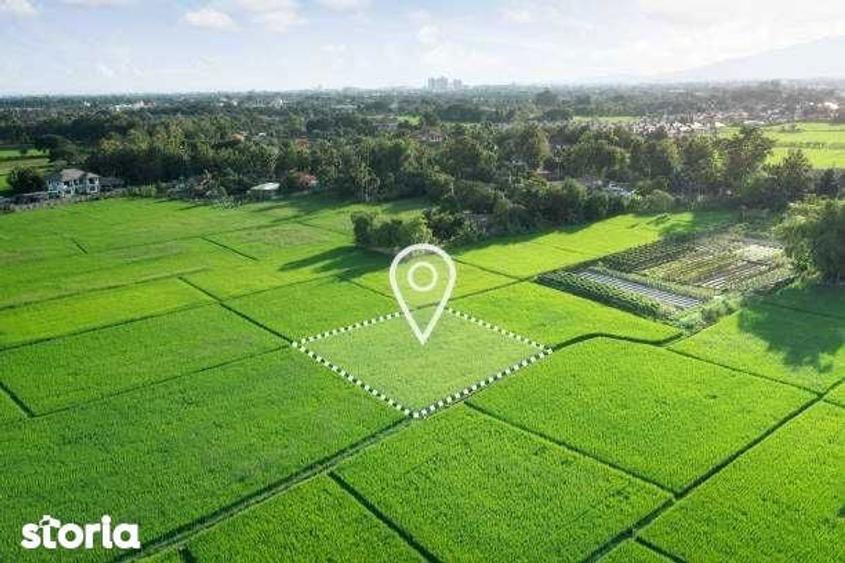 Teren agricol arabil sat Rudna comuna Giulvaz judet Timis - 1