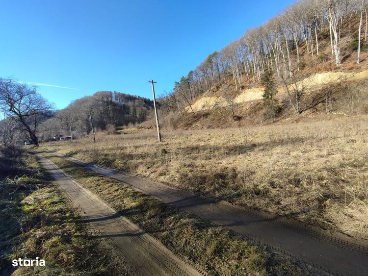 Teren Intravilan 1150mp, Timisu de Jos, Dambul Morii - 1