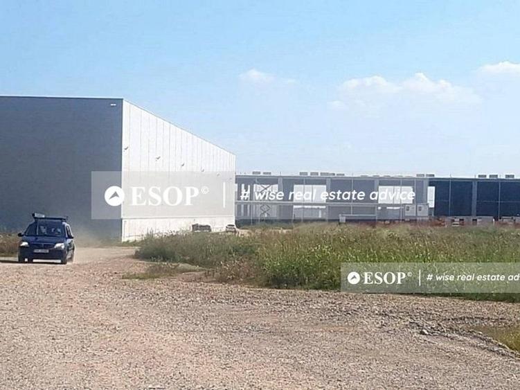 WDP Industrial Park Paulesti, hale de inchiriat, 2.500 - 14.150 mp - 3