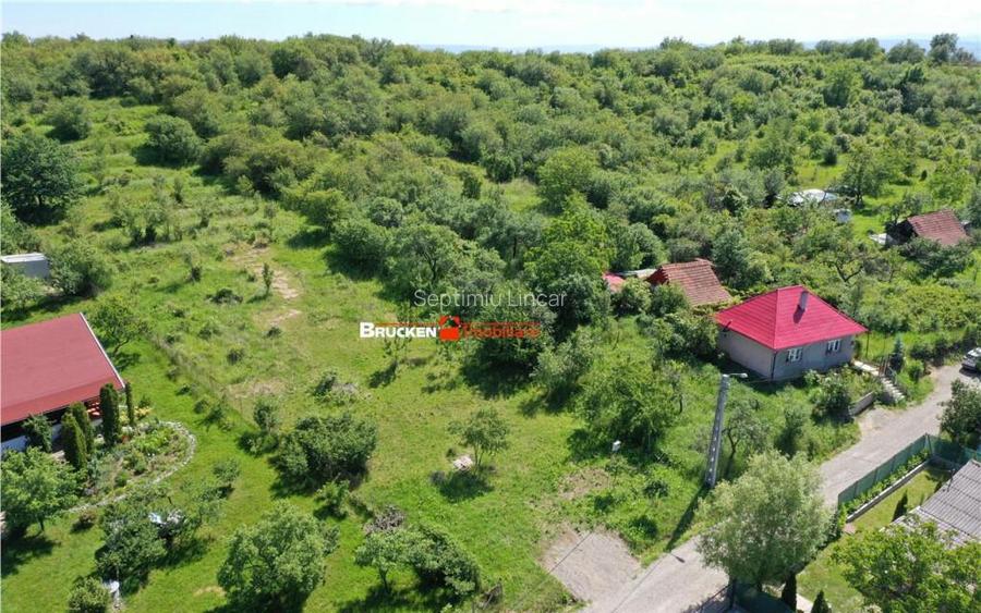 TEREN PENTRU CONSTRUCTIE REZIDENTIALA | 2878 MP | PODGORIA