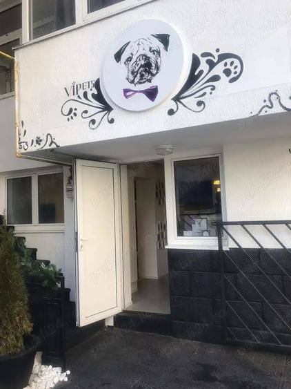 Herastrau Inchiriez Vila cu P+ 1 + terasa - 1