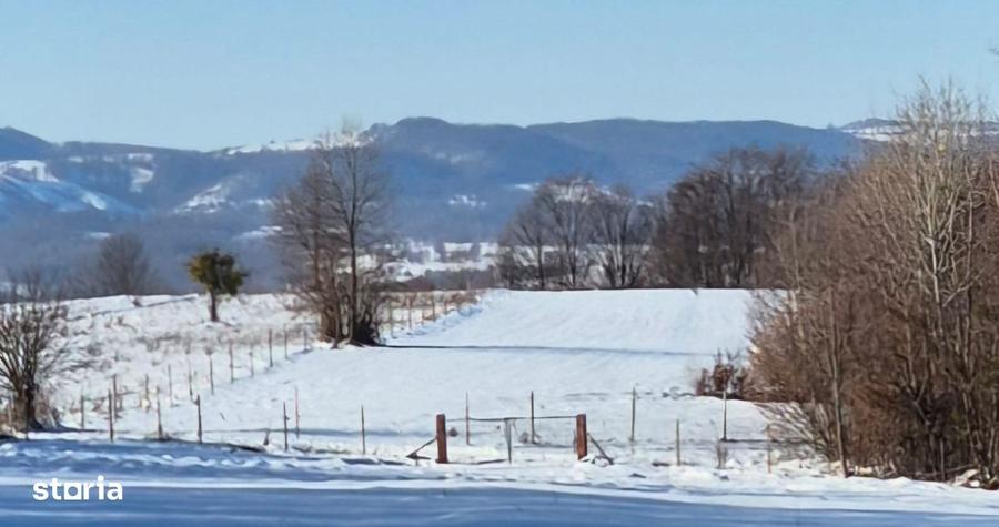 Teren 7024 mp Ciucea Cluj, livada + padure, curent, ideal cabana - 3