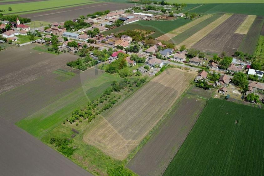 Teren intravilan 5,018mp Variasu Mare - 15 km de Arad/ str. Principala - 6
