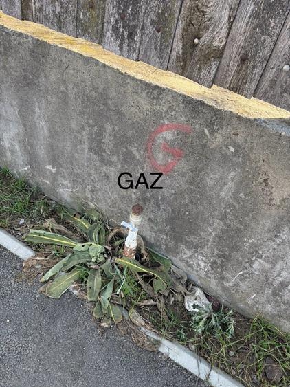 PROPRIETAR - Vand teren + casa comuna Dascalu - 6