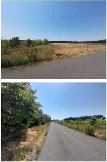 Teren intravilan Balotesti, Ilfov 5.000 mp - 2