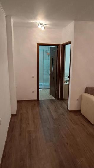 Apartament 2 camere mobilat utilat Doamna Stanca - 3