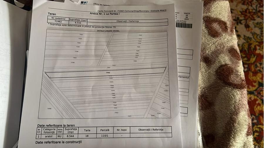Teren agricol Slobozia Moara 8544 mp acces la drum asfaltat si la 1 km de DN7 - 1