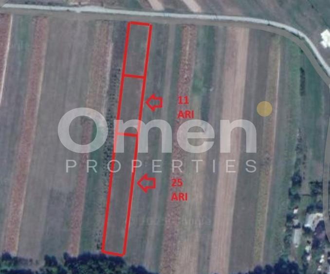 Teren de vanzare in Coas, zona linistita - 2