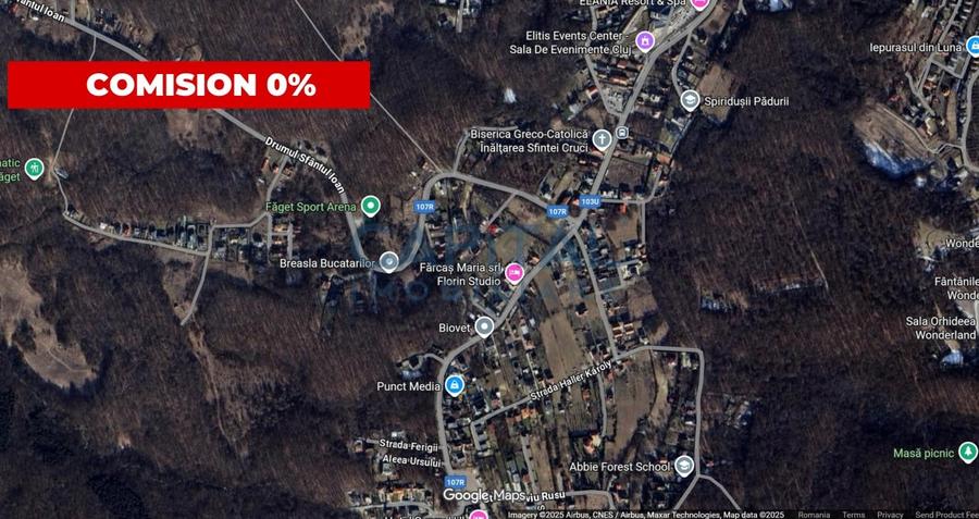 Teren de vanzare in Faget – 800 mp, front stradal generos de 19 m - 1