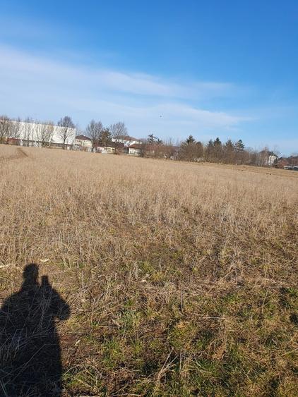 Teren intravilan Com Zvoristea / Suceava - 3500 mp  - 3