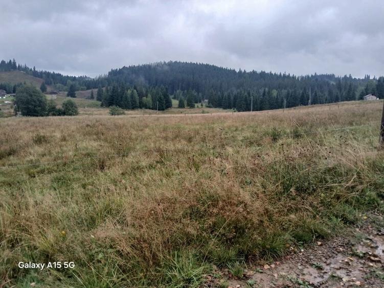 Teren intravilan - 4