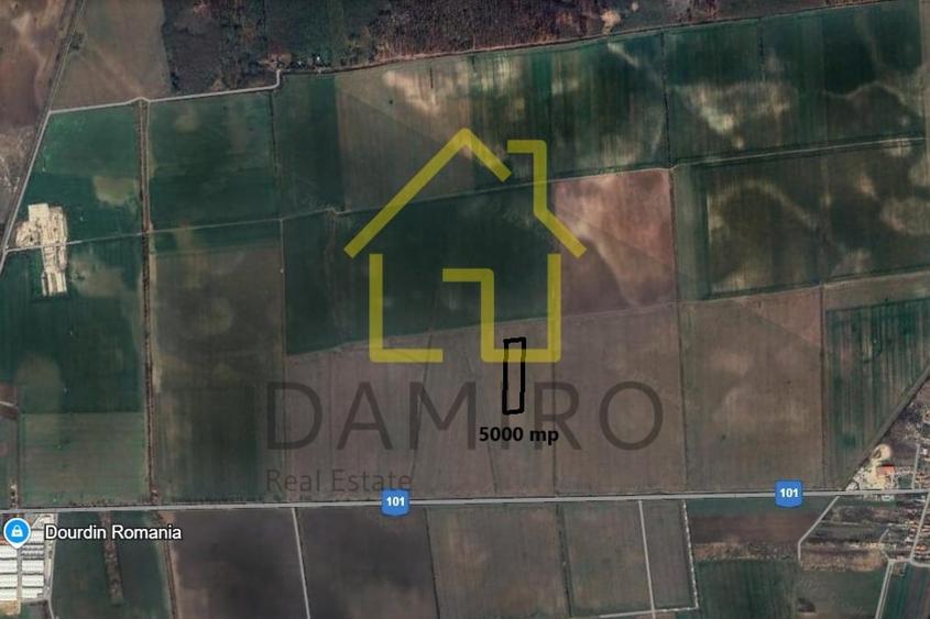 Teren Intravilan 5000 mp Buftea Tamasi - 5