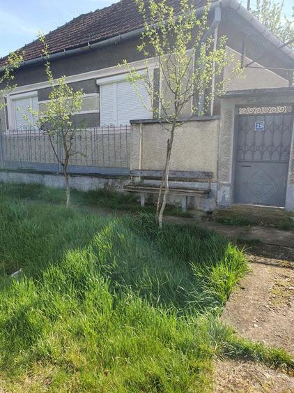 Vand casa Bicaci - 2