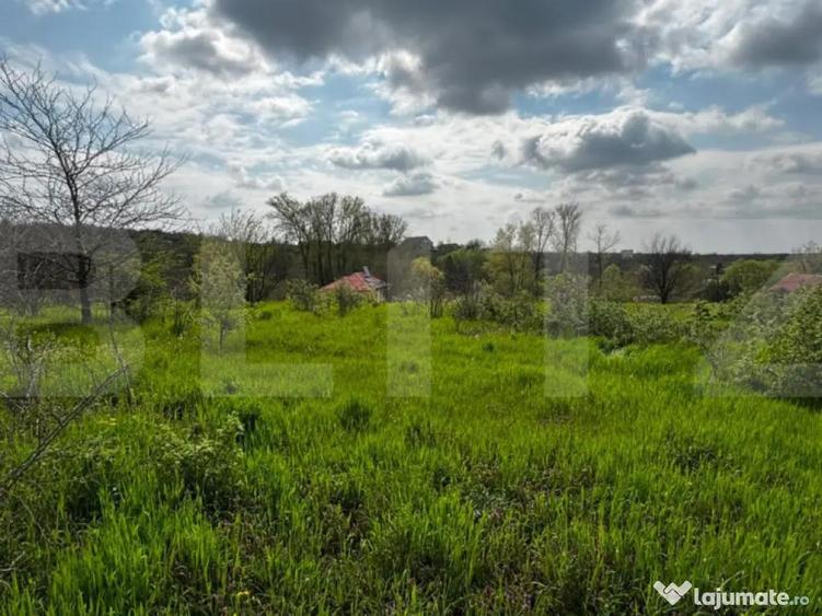 Teren intravilan 990 mp, front 33 ml, zona platou Carcea - 4