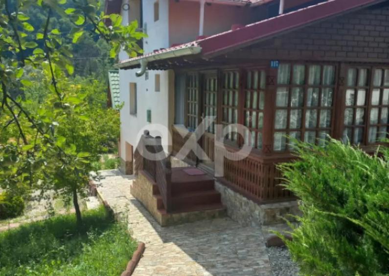 Casa la ?ara complet mobilata, 5.500 mp teren Topli? - 10