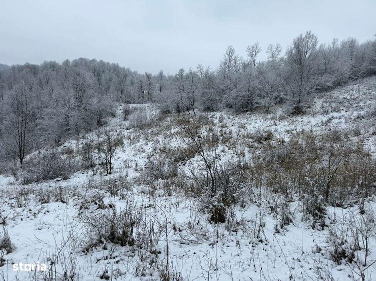 Provita de Jos - teren 3824mp - 18 Euro/mp Neg. - 4