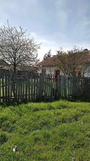 Vand casa situata in Negru Voda - 2