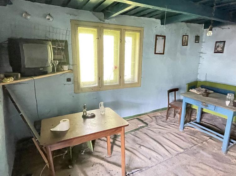 Vand casa Ocolis, teren 2800 mp jud. Alba. - 2