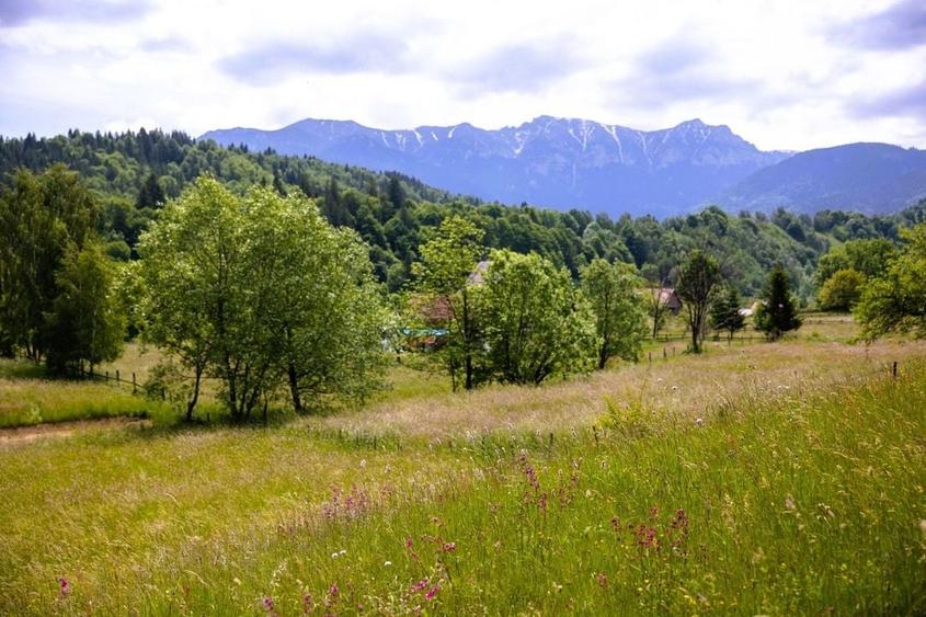 Teren intravilan - 1.050 mp &icirc;n Bran cu utilitati - priveliște Bucegi - 3